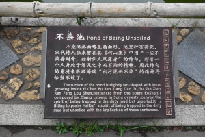 The Pond of Being Unsoiled (不染池)